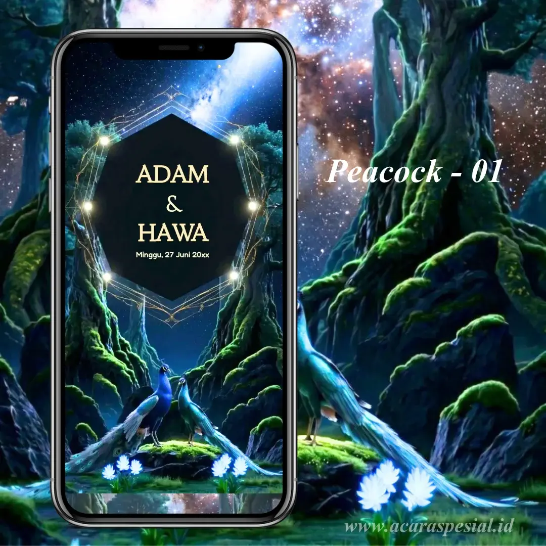 Peacock 01